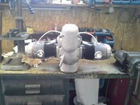 motor-insecta.jpg