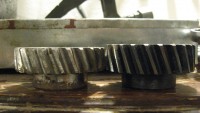 noiembrie2016 095.jpg