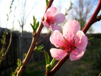 IMG_1219.JPG
