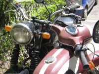 IMG_1283.JPG