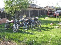 IMG_1314.JPG