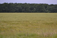 DSC_8844.JPG
